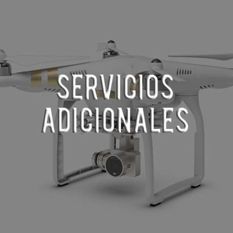 Servicios Adicionales